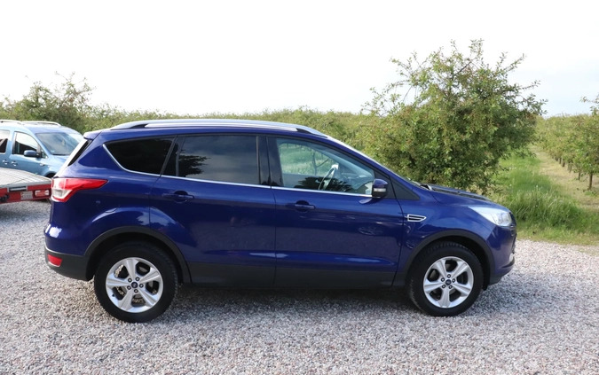 Ford Kuga cena 54950 przebieg: 126452, rok produkcji 2016 z Trzcianka małe 301